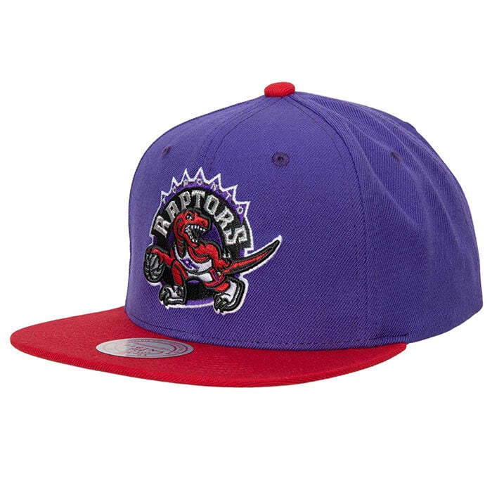 Toronto Raptors Snapback